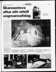 Síða 17