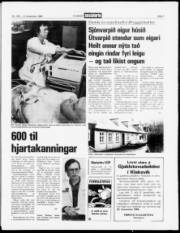 Síða 3