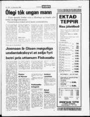 Síða 5