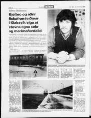 Síða 16