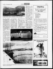 Síða 17