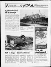 Síða 20