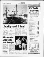 Síða 5