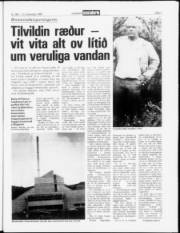 Síða 7