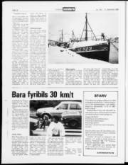 Síða 14
