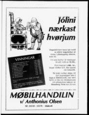 Síða 17