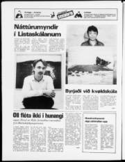 Síða 20