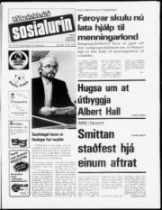 Síða 1