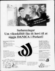 Síða 3