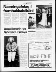 Síða 15
