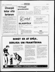 Síða 19