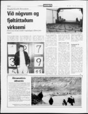 Síða 2