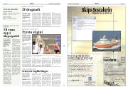 Síða 11