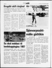 Síða 10