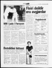 Síða 12