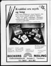 Síða 21