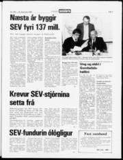 Síða 3