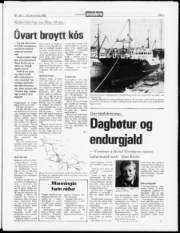Síða 5