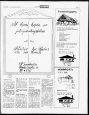 Síða 17