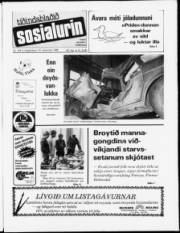 Síða 1