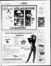 Síða 19