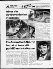 Síða 24