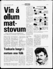 Síða 3