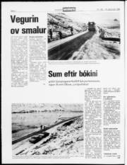 Síða 2