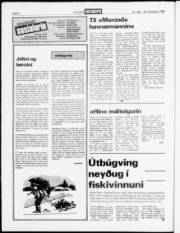 Síða 6