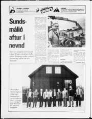 Síða 24