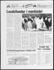 Síða 16