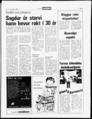 Síða 3