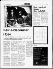 Síða 5