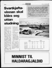 Síða 8