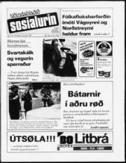 Síða 1