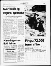 Síða 5