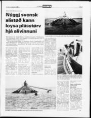 Síða 9
