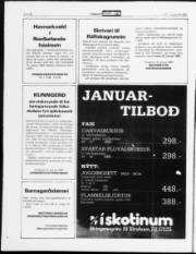 Síða 12