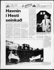 Síða 19