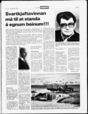 Síða 3