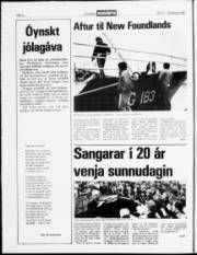 Síða 4