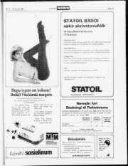 Síða 19