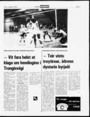 Síða 11