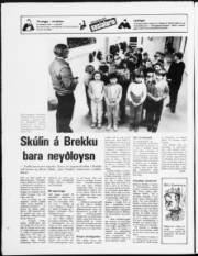 Síða 20