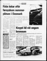Síða 5