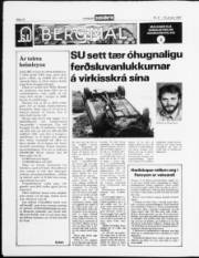 Síða 12