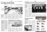 Síða 5
