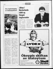Síða 2