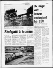 Síða 5