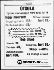 Síða 8